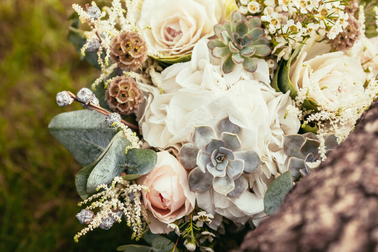 succulents in wedding flowers
